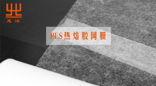 PES熱熔膠網膜.jpg PES熱熔膠網膜.jpg